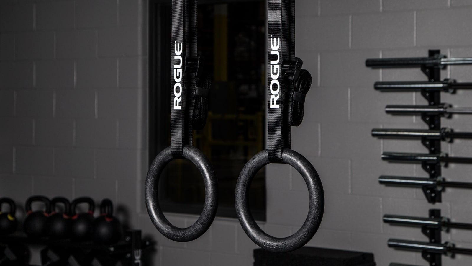 Rogue Echo Rings